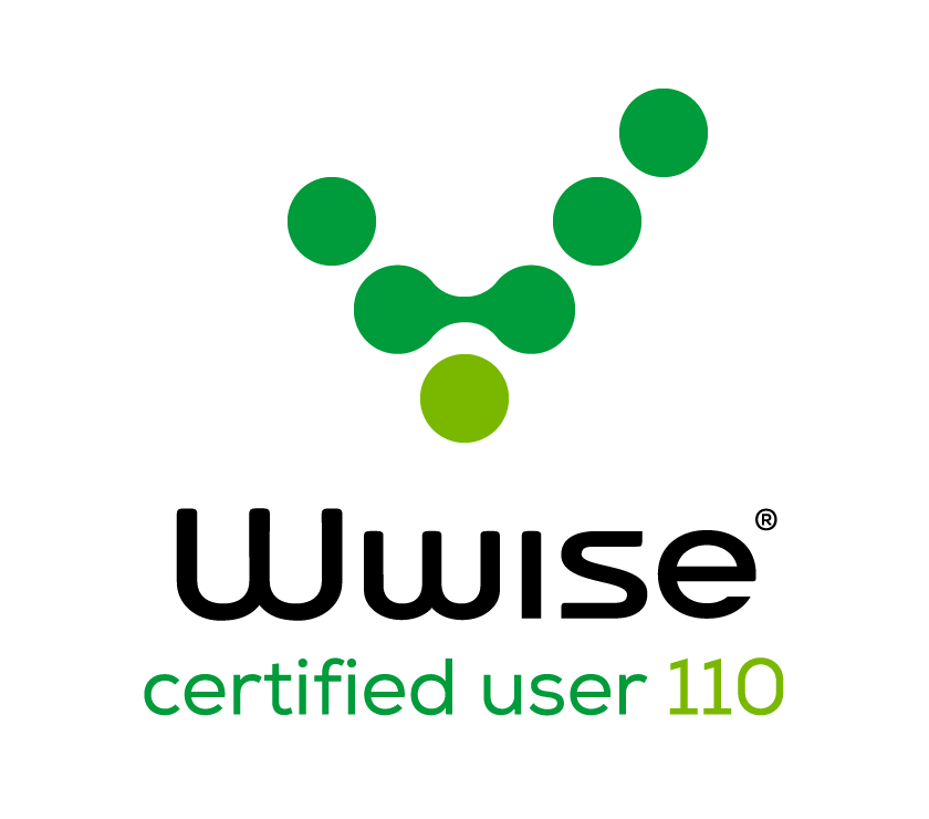 Wwise 101 & 110 Certified User Elliott Sebag